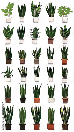 Indoor Greenery and Potted Plants: Eco-Friendly Home Decor with Vibrant Foliage for a Relaxation Space