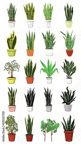 Indoor Greenery Elegance: A Succulent Symphony of Potted House Plants in Modern Botanical Illustration and Home Decor with Lush Foliage and Vertical Garden Elements