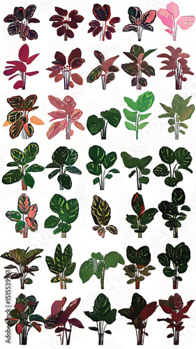Vibrant Botanical Greenery: Exploring Decorative Foliage and Houseplants in Modern Urban Jungle for Eco-Friendly Decor