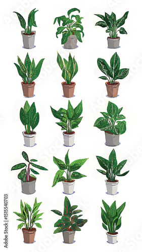 Indoor Houseplants: A Serene Decorative Variety of Artificial and Natural Greenery for Wellness in Home Interior Design