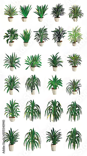 Lush Indoor Garden with Vibrant Greenery and Tropical Houseplants for Sustainable Natural Decor in Home Interior Design