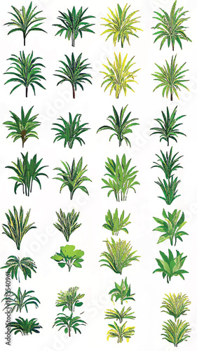 Lush Botanical Illustration of Tropical Green Leaves: A Decorative Foliage Variety in Nature's Organic Ecosystem