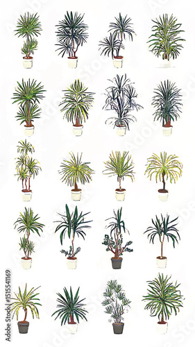 Artistic Diverse Houseplants: Eco-Friendly Greenery for Interior Design and Home Decor