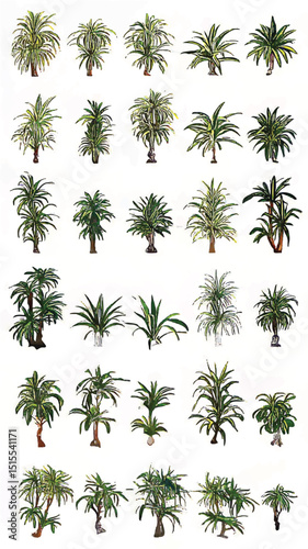 Diverse Greenery and Lush Foliage: Exploring Nature's Botanical Variety with Tropical Indoor and Artificial Plants for Home Gardening and Decorative Landscaping