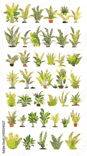 Eco-Friendly Indoor Gardening with Botanical Illustrations: Exotic Potted Plants and Leafy Greens for Home Decor and Tropical Nature Study