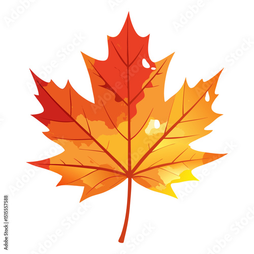 A colorful maple leaf with orange and red tones, suggesting autumn foliage.