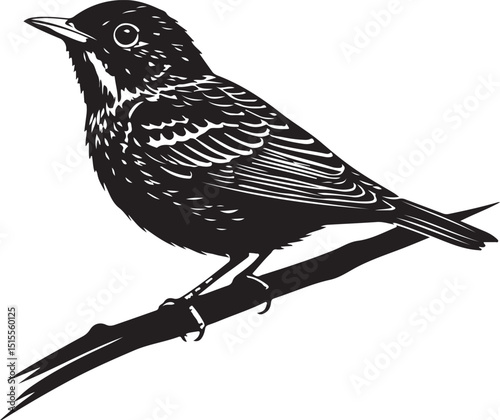 Barred Warbler Silhouettes Vector