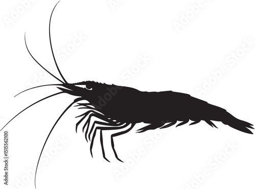 Freshwater Shrimp Silhouettes