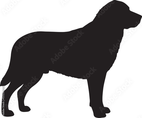 Kangal Shepherd Dog Silhouettes