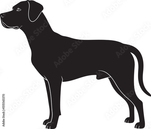 Mountain Cur Side View Silhouettes