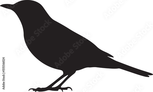 Olive-backed Thrush Side View Silhouettes