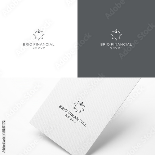 Logo options featuring a stylized star and the text Brio Financial Group on white grey and card mockup backgrounds