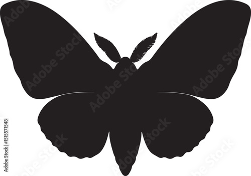 Sphinx Moth Top View Silhouettes