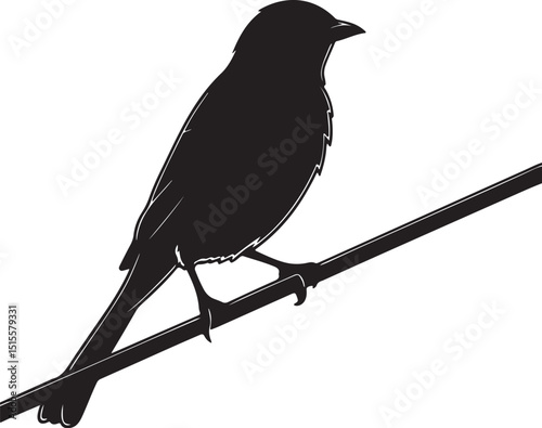 Sparrow Sitting on Wire Silhouette with Detail