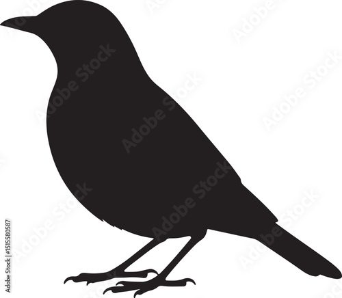 Swainson’s Thrush Side View Silhouettes