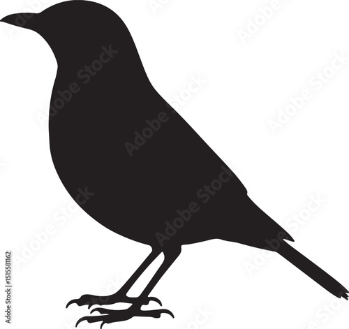 Varied Thrush Side View Silhouettes
