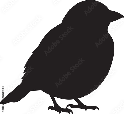 Veery Side View Silhouettes
