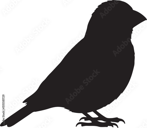 Yellow Grosbeak Side View Silhouettes