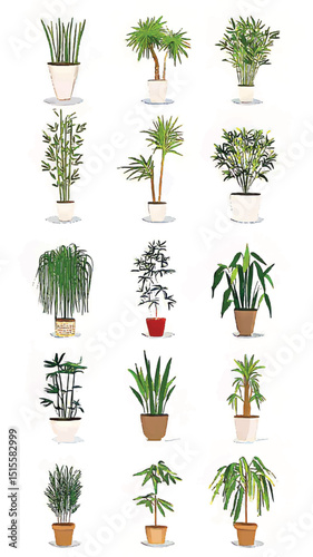 Eco-Friendly Living: Indoor Gardening and Houseplants for Modern Home Decor with Vibrant Ornamental Foliage and Potted Tropical Plants