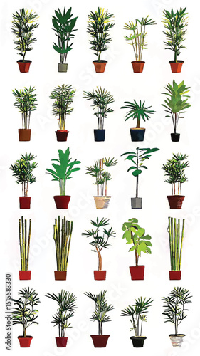 Indoor Plant Collection: Stylish Greenery & Urban Gardening for Home Decor Biodiversity