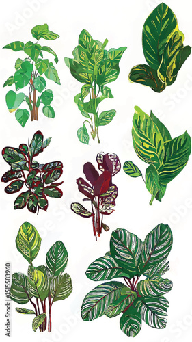 Nature-Inspired Botanical Illustration: Vibrant Greenery and Exotic Leaves for Modern Home Decor and Sustainable Art Designs