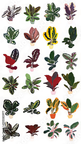 Botanical Bliss: Vibrant Indoor Plants and Tropical Leaves for Artistic and Eco-Friendly Home Decor Aesthetics