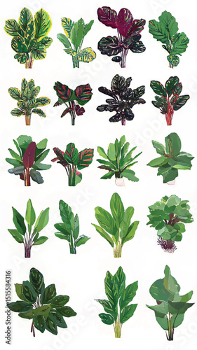 Urban Jungle Inspiration: Vibrant Houseplants and Tropical Foliage for Eco-Friendly Decor and Botanical Garden Design