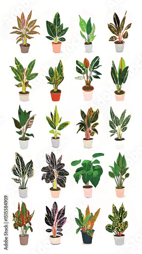 Vibrant Indoor Garden: Botanical Illustration and Home Decor for a Vegan Lifestyle