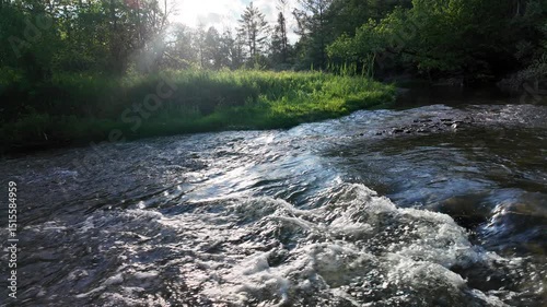 small river in the canadian forest