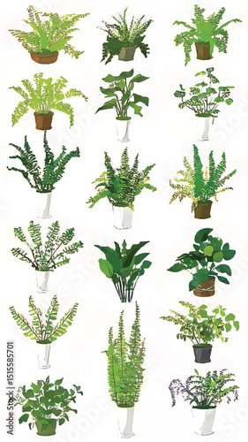 Indoor Greenery Memory: Lush Houseplants and Ferns in Various Pots Enhance Subtropical Botanical Art Decor
