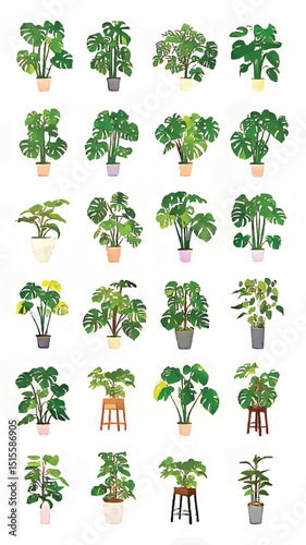 Lush Indoor Jungle: Vibrant Monstera and Botanical Illustrations for Stylish Home Decor and Plant Enthusiasts