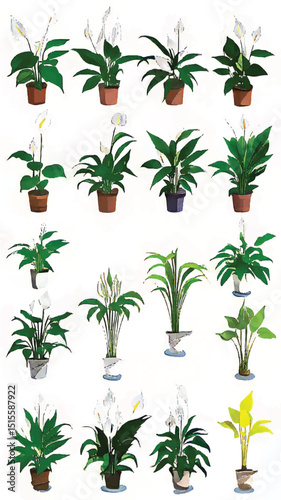 Indoor Plant Decor: Lush Green Foliage and Flowering Peace Lily for a Modern Home