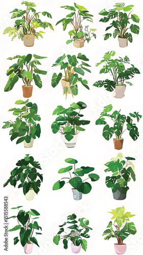 Indoor Gardening Revolution: Transforming Home Decor with Potted Plants and Botanical Illustrations for a Verdant Urban Jungle Aesthetic