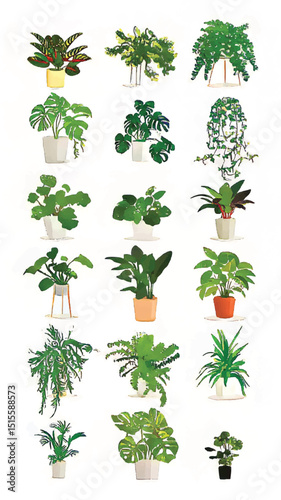 Lush Indoor Plants with Modern Botanical Illustration for Fresh Home Decor and Wellness