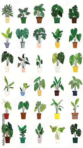 Curating Your Cozy Urban Jungle: Indoor Gardening and Vibrant Houseplant Collection