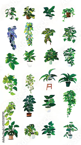 Vibrant Indoor Jungle: Diverse Houseplant Collection Showcasing Lush Green Foliage, Botanical Aesthetics, and Exotic Leaf Patterns for Biophilic Home Decor and Plant Care Enthusiasts