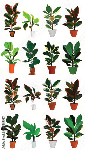 Urban Jungle Paradise: Decorative Indoor Plants for a Lush Greenery Haven in Home Decor