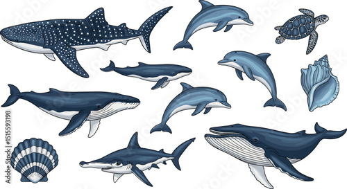 Whales, dolphins, sharks, sea turtle and shells marine wildlife illustration isolated. Clipart watercolor ocean animals