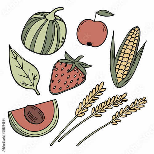 Autumn harvest farm fresh fruits vegetables
