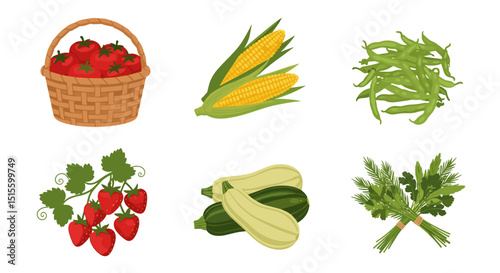 Illustration of a variety of fresh produce including fruits vegetables and herbs in a display format