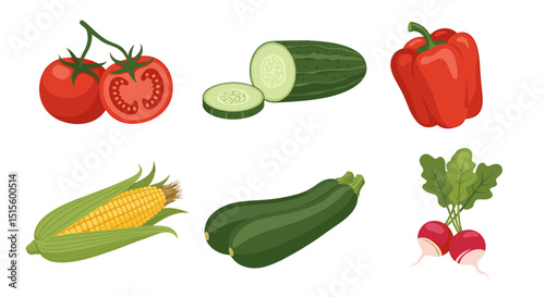 Illustration of six different types of fresh vegetables including tomatoes corn and radishes on white background