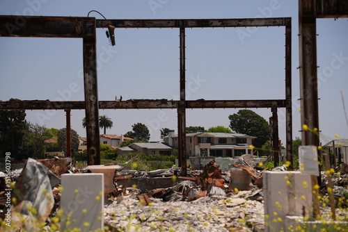 Pacific Palisades fire damage