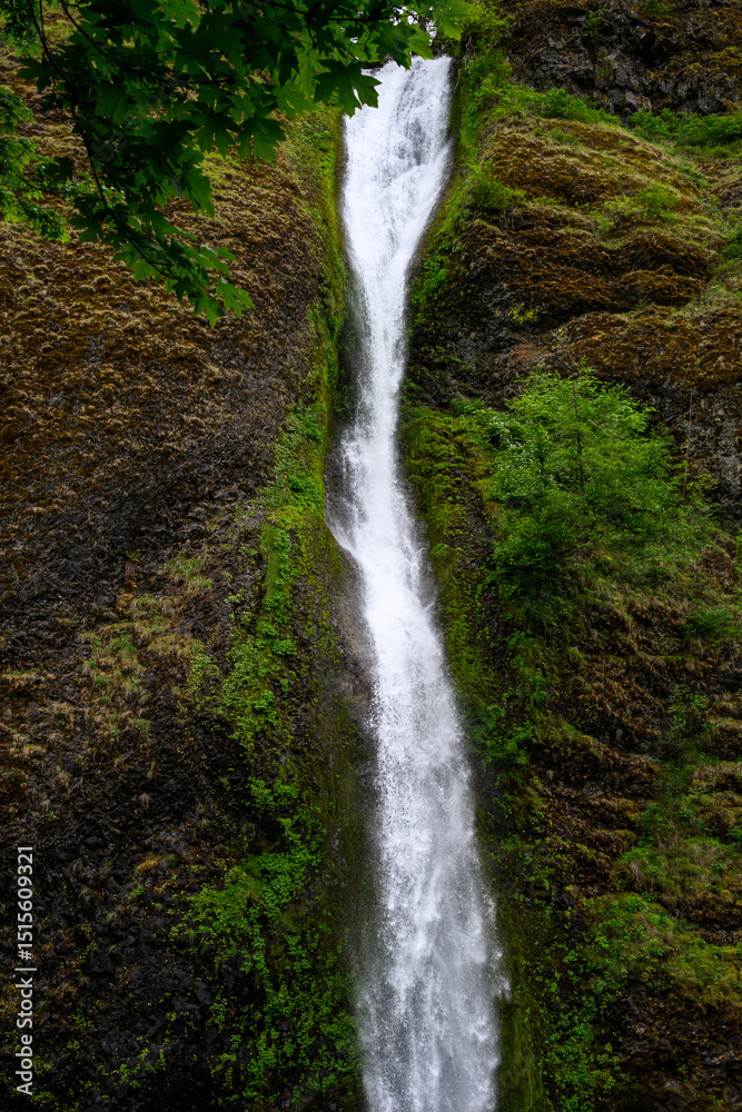 Horsetail Falls, waterfall in the Columbia River Gorge, National Scenic Area, spring adventure and tourism in Central Oregon
Horsetail Falls, waterfall in the Columbia River Gorge, National Scenic Area, spring adventure and tourism in Central Oregon