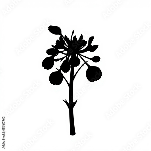 Black silhouette of flowering plant stem with buds and blossoms vector illustration isolated on white