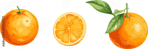 Fresh citrus fruit, including ripe oranges and tangerines with green leaves, isolated on white