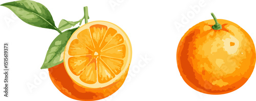 Fresh citrus fruit, including ripe oranges and tangerines with green leaves, isolated on white