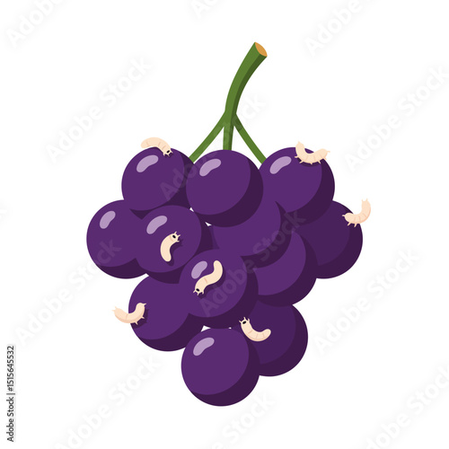 Cartoon Grapes with Worms Illustrating Infestation and Spoiled Fruit