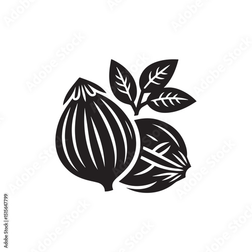 Minimalist fresh nutmeg vector on white background