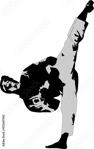 Martial arts high side kick silhouette figures