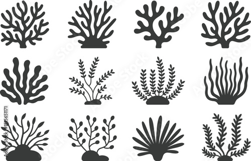 Collection of decorative vector illustrations featuring silhouetted seaweed plants and coral reef elements for design projects and decorations